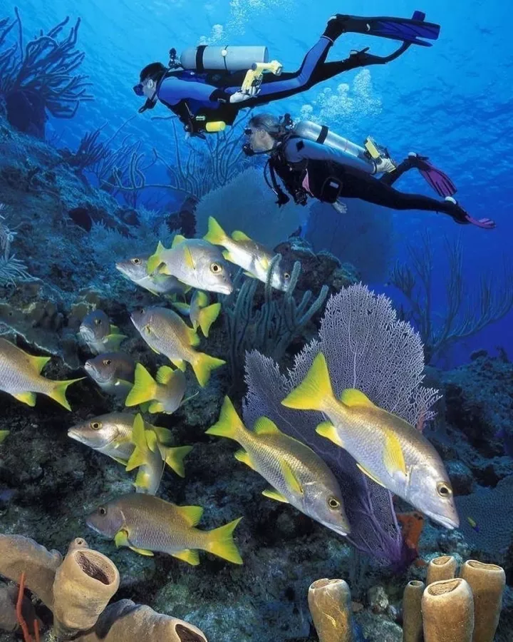 Экскурсионное бюро Это Сочи на Цветочной в Красной Поляне: Экскурсия, Отпуск, Гид, Красивый вид, Туризм, Путешествие, Виды, Тур,