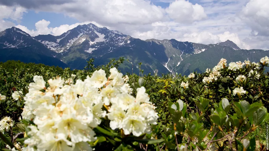 Туристическая компания Хостинский отдых на Черноморской в Сочи: Тур, Экскурсия, Отпуск, Гид, Красивый вид, Туризм, Путешествие, Виды,