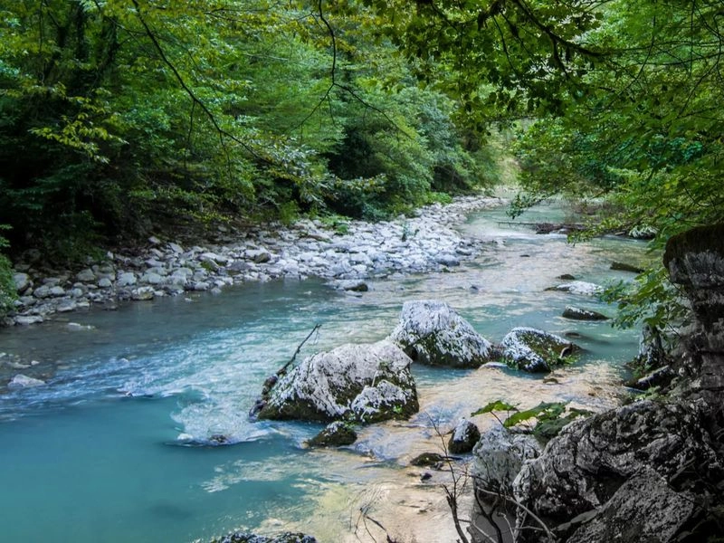 Туристическая компания Хостинский отдых на Черноморской в Сочи: Тур, Экскурсия, Отпуск, Гид, Красивый вид, Туризм, Путешествие, Виды,