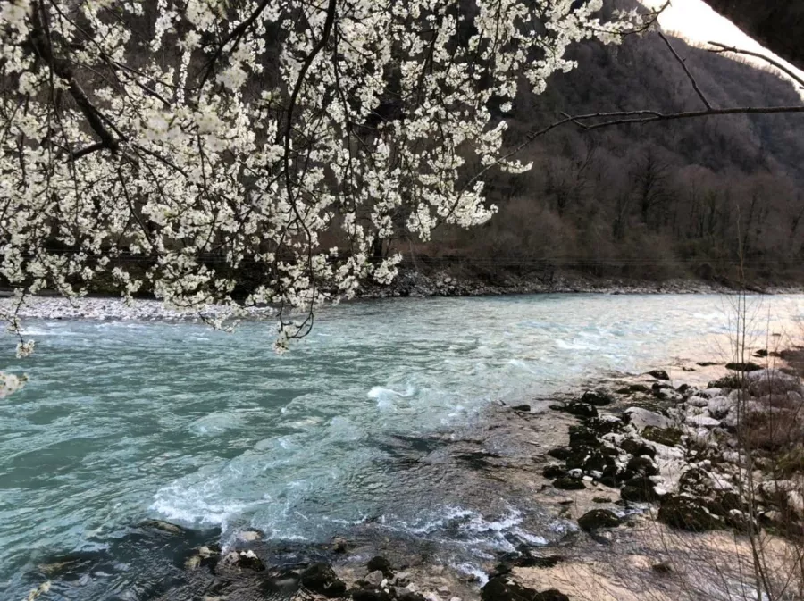 Экскурсии Sochi Excursions в Сочи: Экскурсия, Путешествие, Путешественник, Туризм, Турист, Гид, Красивый вид, Отпуск, Чилим, Beautiful view, Rest, Travelling, Travel,