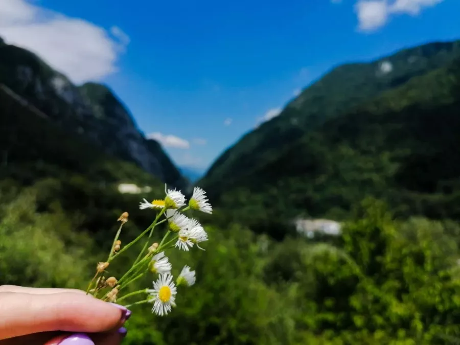 Экскурсии Sochi Excursions в Сочи: Экскурсия, Путешествие, Путешественник, Туризм, Турист, Гид, Красивый вид, Отпуск, Чилим, Beautiful view, Rest, Travelling, Travel,