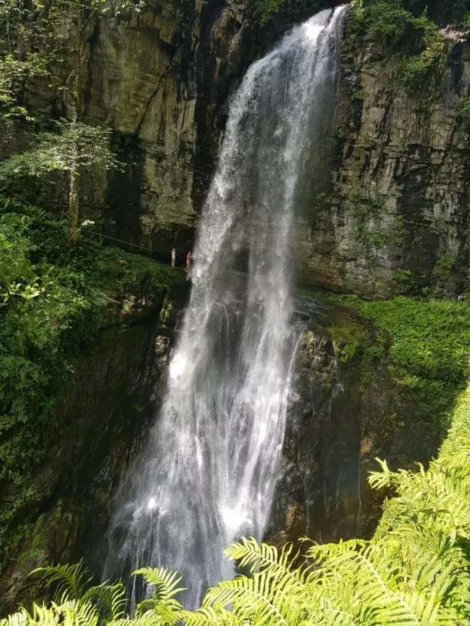 Экскурсии Sochi Excursions в Сочи: Экскурсия, Путешествие, Путешественник, Туризм, Турист, Гид, Красивый вид, Отпуск, Чилим, Beautiful view, Rest, Travelling, Travel,