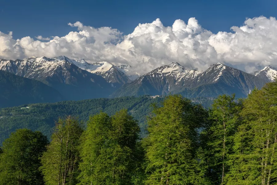 Бюро путешествий и экскурсий Меридиан в Сочи: Экскурсия, Туризм, Гид, Красивый вид, Отпуск, Путешествие, Виды, Тур,