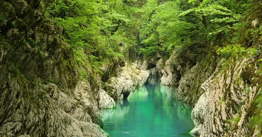 Бюро путешествий и экскурсий Меридиан в Сочи: Экскурсия, Туризм, Гид, Красивый вид, Отпуск, Путешествие, Виды, Тур,