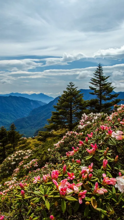 Бюро путешествий и экскурсий Меридиан в Сочи: Экскурсия, Туризм, Гид, Красивый вид, Отпуск, Путешествие, Виды, Тур,