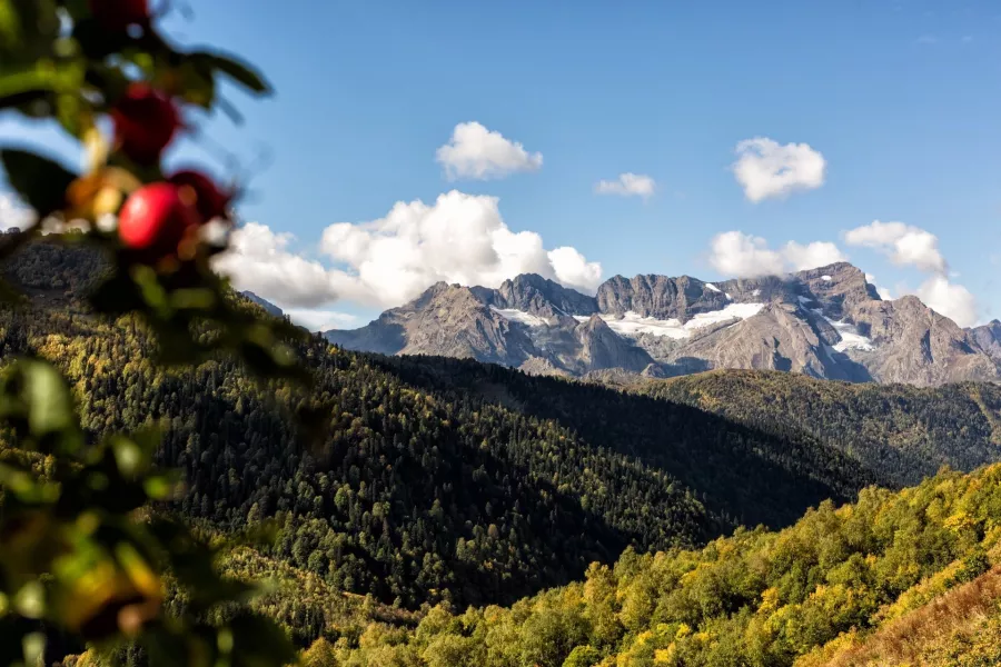 Бюро путешествий и экскурсий Меридиан в Сочи: Экскурсия, Туризм, Гид, Красивый вид, Отпуск, Путешествие, Виды, Тур,