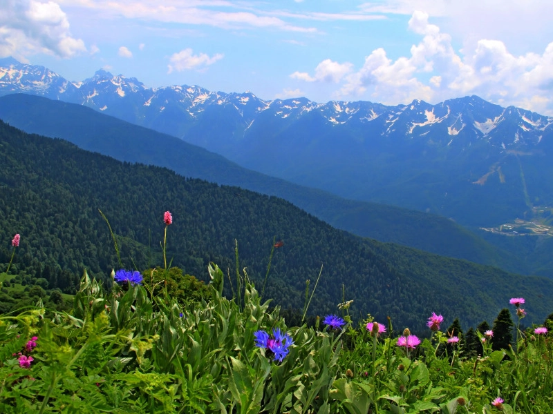 Бюро путешествий и экскурсий Меридиан в Сочи: Экскурсия, Туризм, Гид, Красивый вид, Отпуск, Путешествие, Виды, Тур,