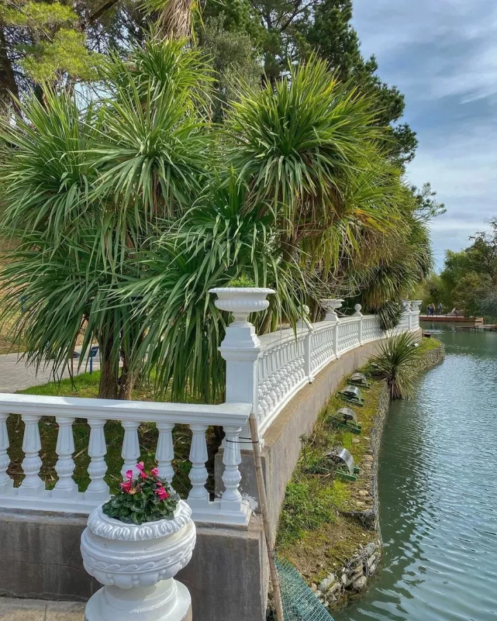 Бюро путешествий и экскурсий Меридиан в Сочи: Экскурсия, Туризм, Гид, Красивый вид, Отпуск, Путешествие, Виды, Тур,