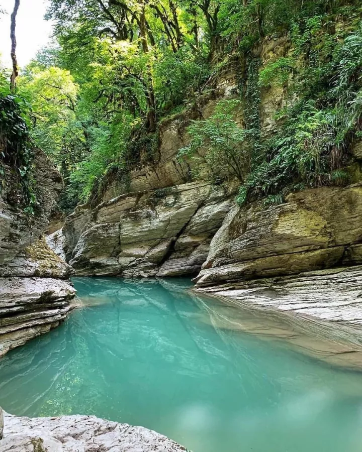 Бюро путешествий и экскурсий Меридиан в Сочи: Экскурсия, Туризм, Гид, Красивый вид, Отпуск, Путешествие, Виды, Тур,