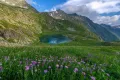 Миниатюра 7