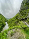Миниатюра 11