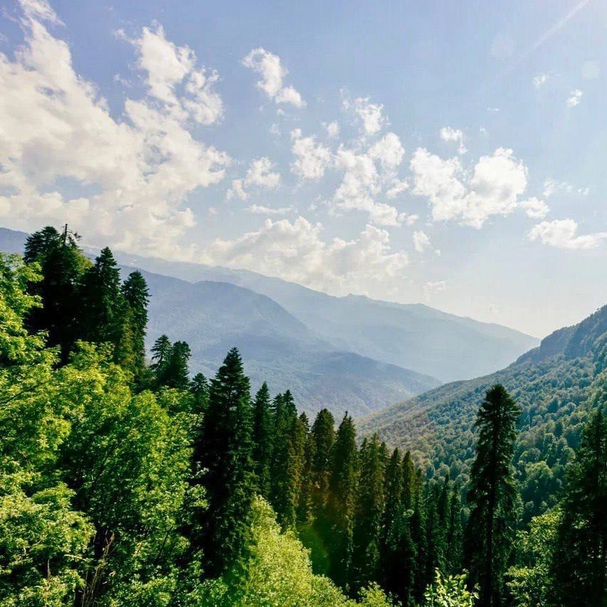 Экскурсионное бюро Mantera Travel на Голубой в Сочи: Экскурсия, Путешествие, Путешественник, Отпуск, Чилим, Гид, Красивый вид, Турист, Туризм, Beautiful view, Rest, Travelling, Travel,