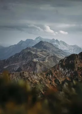Экскурсии "River"