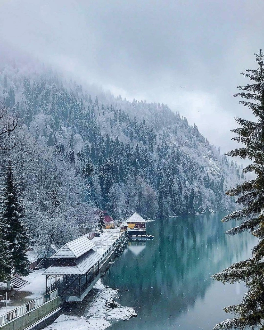 Большое фото 4