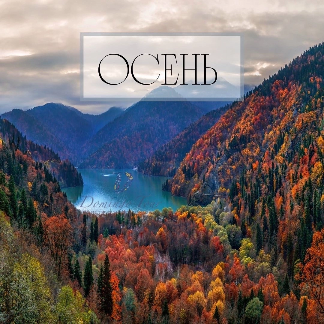 Большое фото 6