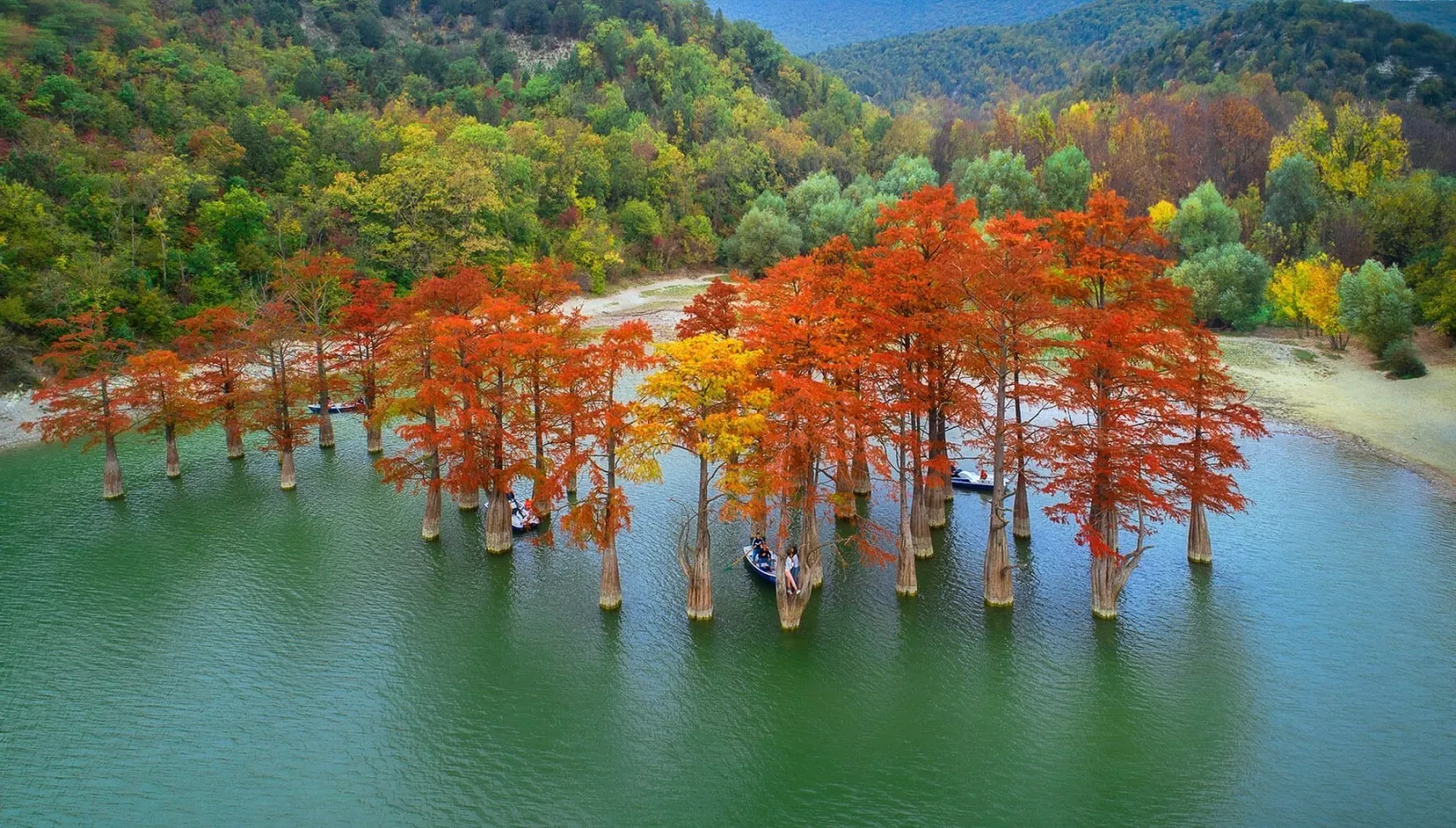 Большое фото 11