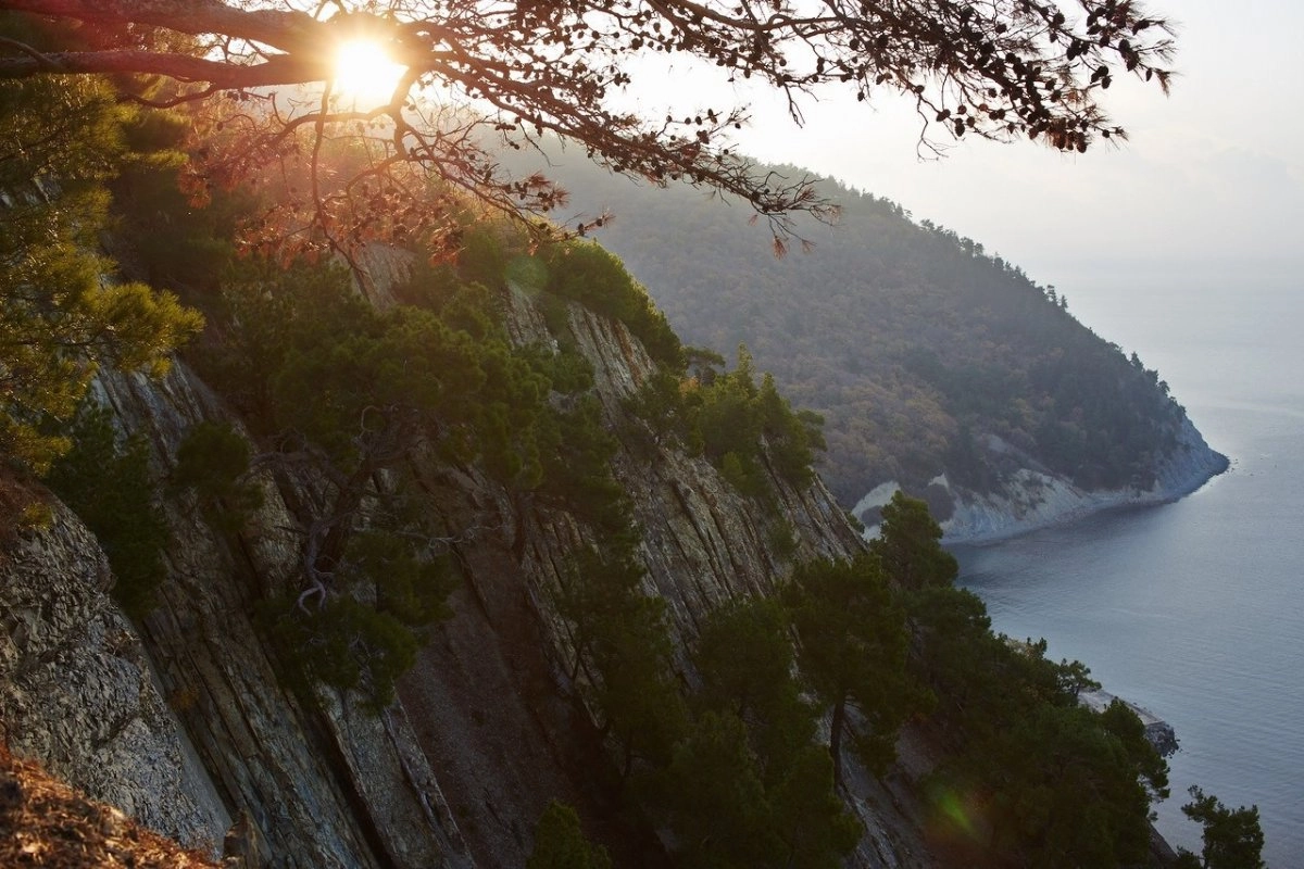 Большое фото 1