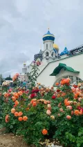 Миниатюра 8