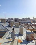 Миниатюра 4
