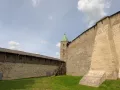 Миниатюра 8