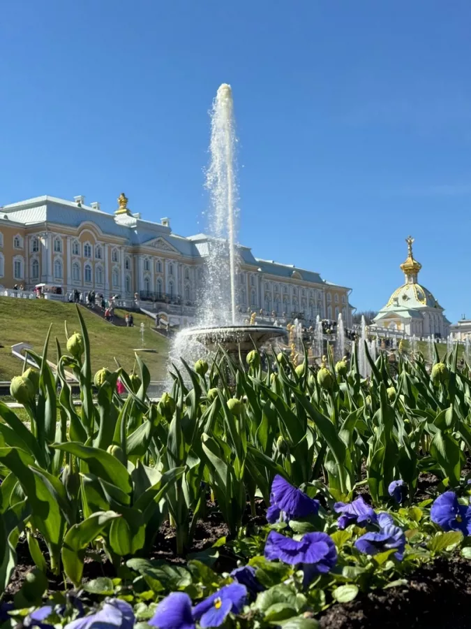 Туроператор ТурСервис на Невском в Санкт-Петербурге: Экскурсия, Путешествие, Путешественник, Отпуск, Чилим, Гид, Красивый вид, Турист, Туризм, Beautiful view, Rest, Travelling, Travel,