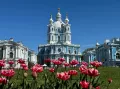Миниатюра 12