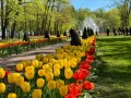 Миниатюра 7