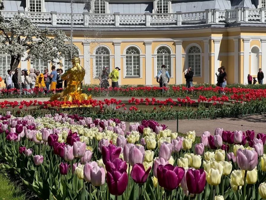 Туроператор ТурСервис на Думской 5 в Красноярске: Экскурсия, Путешествие, Путешественник, Отпуск, Чилим, Гид, Красивый вид, Турист, Туризм, Beautiful view, Rest, Travelling, Travel,