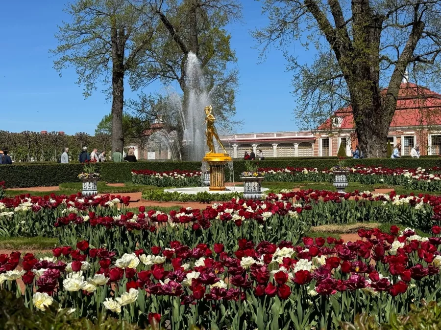 Туроператор ТурСервис на Думской 5 в Красноярске: Экскурсия, Путешествие, Путешественник, Отпуск, Чилим, Гид, Красивый вид, Турист, Туризм, Beautiful view, Rest, Travelling, Travel,