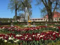 Миниатюра 11