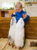 Миниатюра 6
