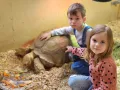Миниатюра 11