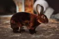 Миниатюра 8
