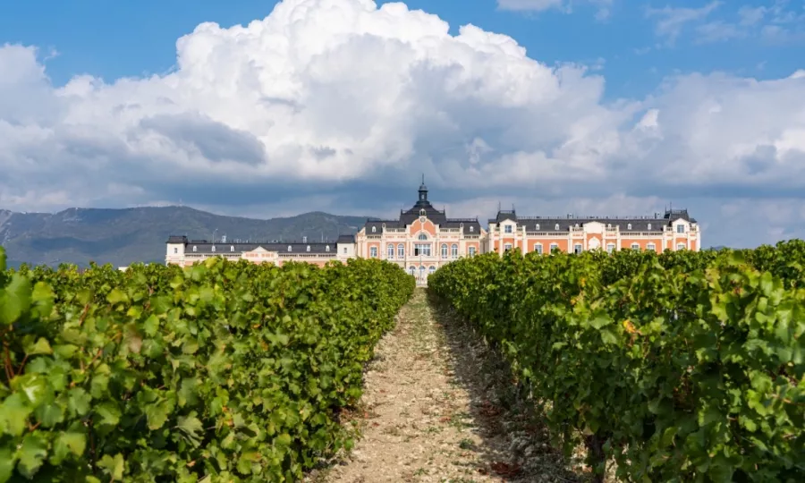 Винодельня Chateau de talu в Геленджике: Дегустация вин, Экскурсия, Винодельня, Вино, Банкетный зал, Сухое вино, Белое вино, Туристам, Дегустация, Для влюбленных,
