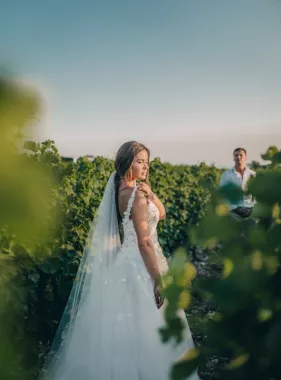 Винодельня Chateau de talu