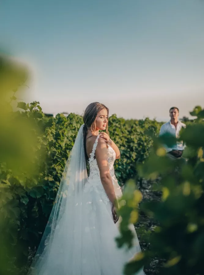 Винодельня Chateau de talu в Геленджике: Дегустация вин, Экскурсия, Винодельня, Вино, Банкетный зал, Сухое вино, Белое вино, Туристам, Дегустация, Для влюбленных,