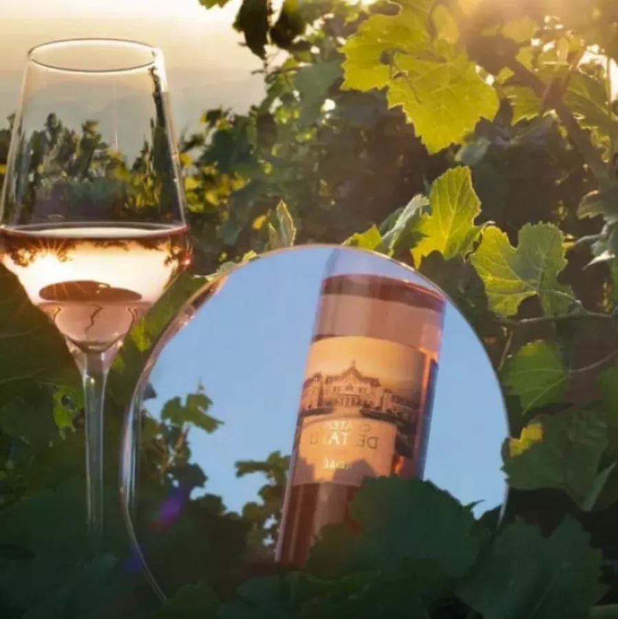 Винодельня Chateau de talu в Геленджике: Дегустация вин, Экскурсия, Винодельня, Вино, Банкетный зал, Сухое вино, Белое вино, Туристам, Дегустация, Для влюбленных,