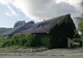 Миниатюра 7