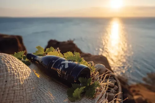 Винодельня Alma Valley  в  Абрау-Дюрсо