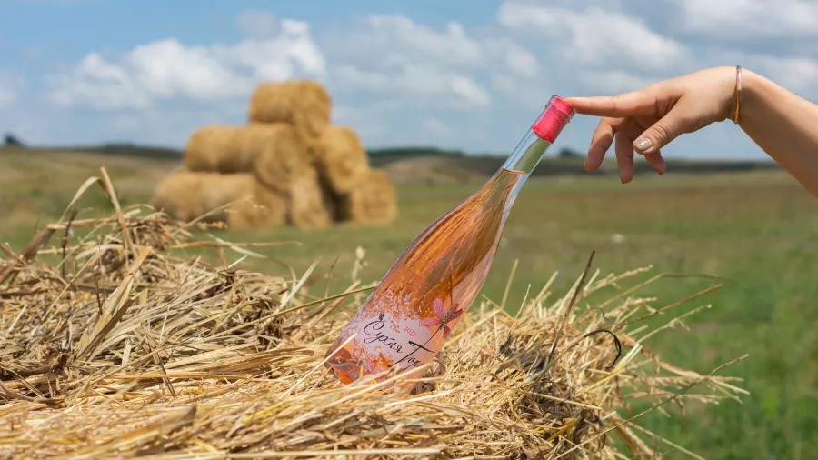 Винодельня Сухая гора  в  Новороссийске