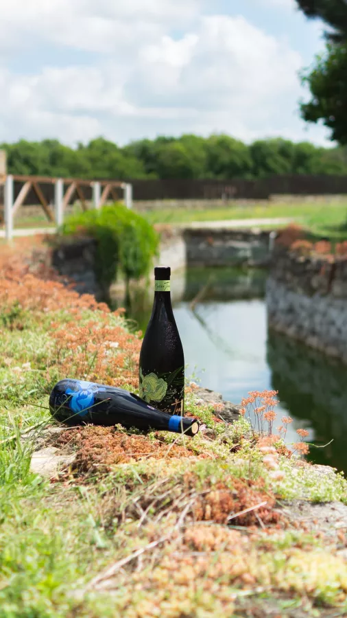 Винодельня Сухая гора в Новороссийске: Тур, Винодельня, Вино, Грузинская кухня, Экскурсия,
