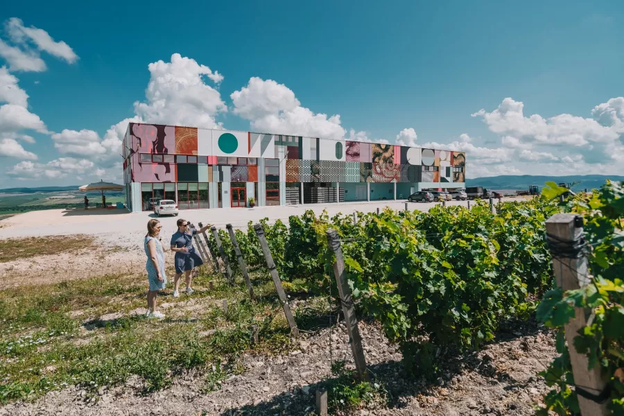 Винодельня Сухая гора в Новороссийске: Тур, Винодельня, Вино, Грузинская кухня, Экскурсия,