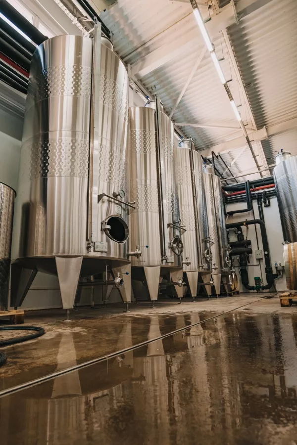 Винодельня Сухая гора в Новороссийске: Тур, Винодельня, Вино, Грузинская кухня, Экскурсия,