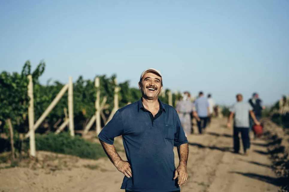 Винодельня "Дербент Вино"