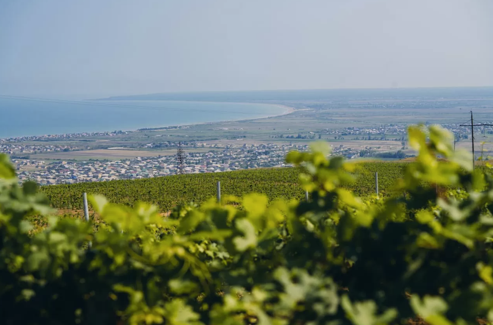 Винодельня "Дербент Вино"