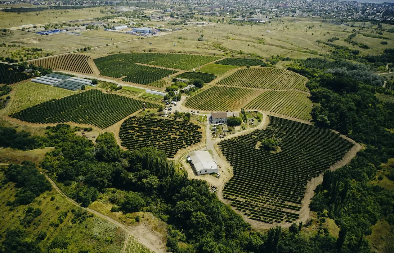 Винодельня "Гусевъ"