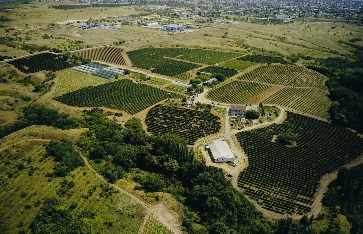 Винодельня "Гусевъ"