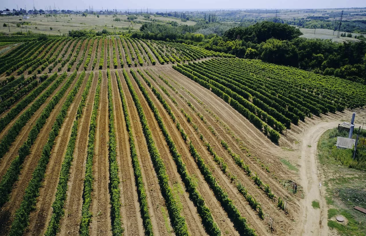 Винодельня "Гусевъ"