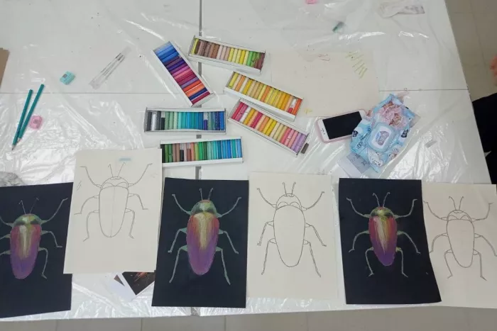 Студия рисования Mol`берт