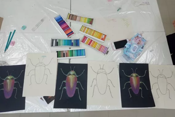 Студия рисования Mol`берт